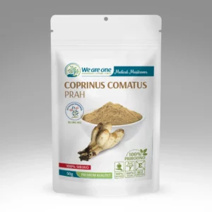 Coprinus Comatus prah u beloj kesici sa svetlim prahom i svežim gljivama