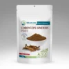 Cordyceps Sinensis prah u beloj kesici sa smeđim prahom i sušenim kordicepsom