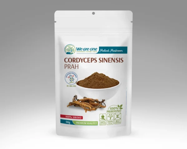 Cordyceps Sinensis prah u beloj kesici sa smeđim prahom i sušenim kordicepsom