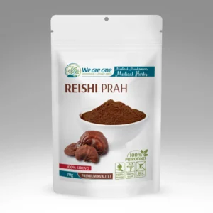 Reishi prah u beloj kesici sa tamnosmeđim prahom i celim gljivama reishi